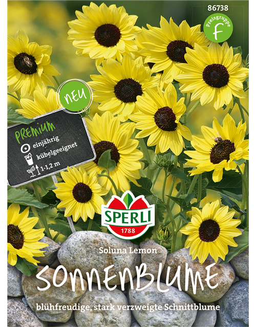 Sonnenblume Soluna Lemon