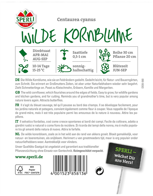 Wilde Kornblume