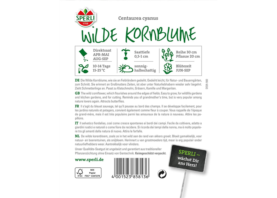 Wilde Kornblume