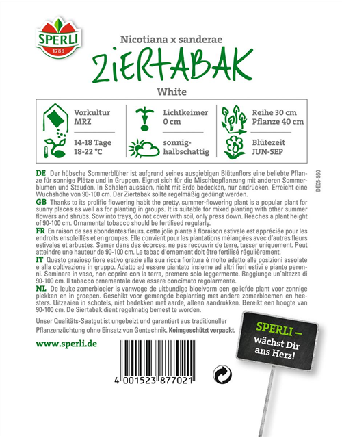 Ziertabak White