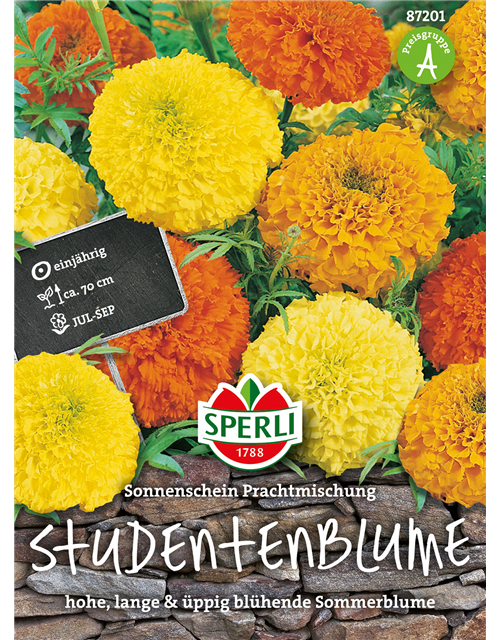 Studentenblume Sonnenschein