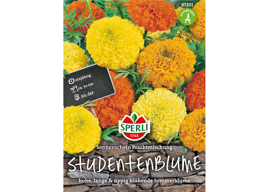 Studentenblume Sonnenschein