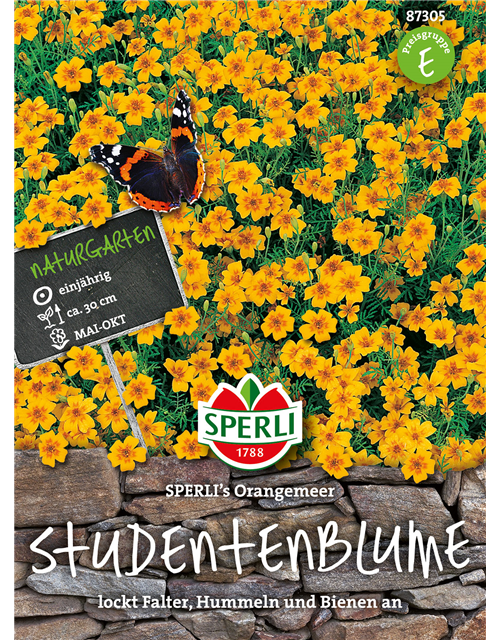 Studentenblumen Orangemeer 