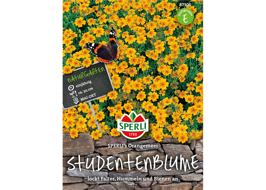 Studentenblumen Orangemeer 