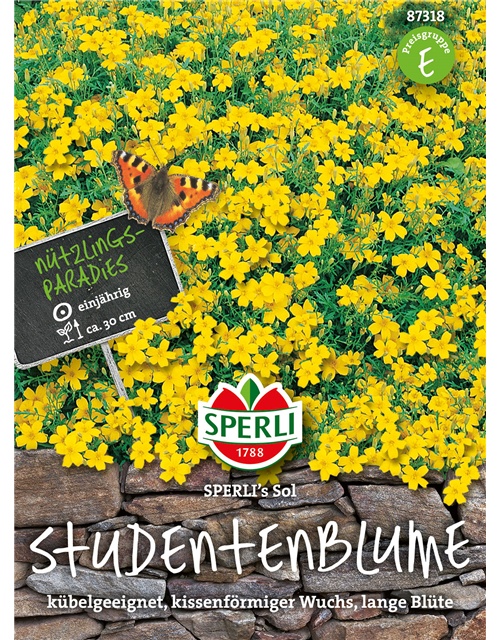 Studentenblumen Sol 