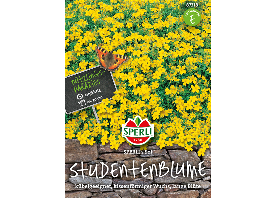 Studentenblumen Sol 