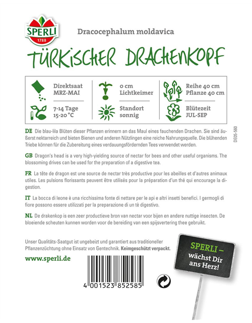 Türkischer Drachenkopf