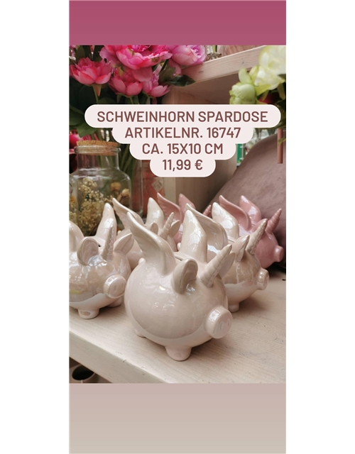 Schweinhorn Spardose