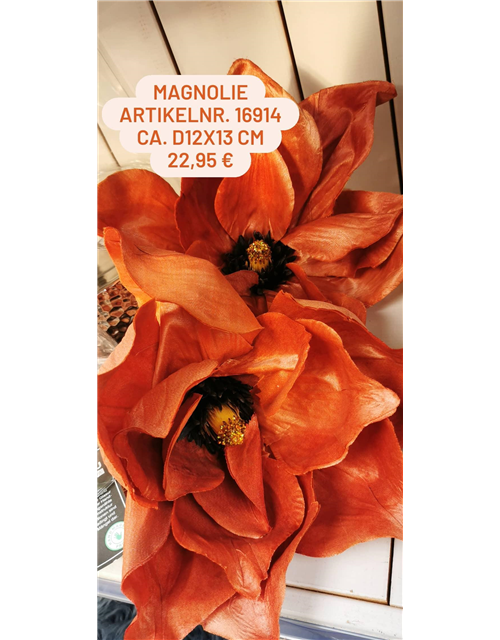 Magnolie