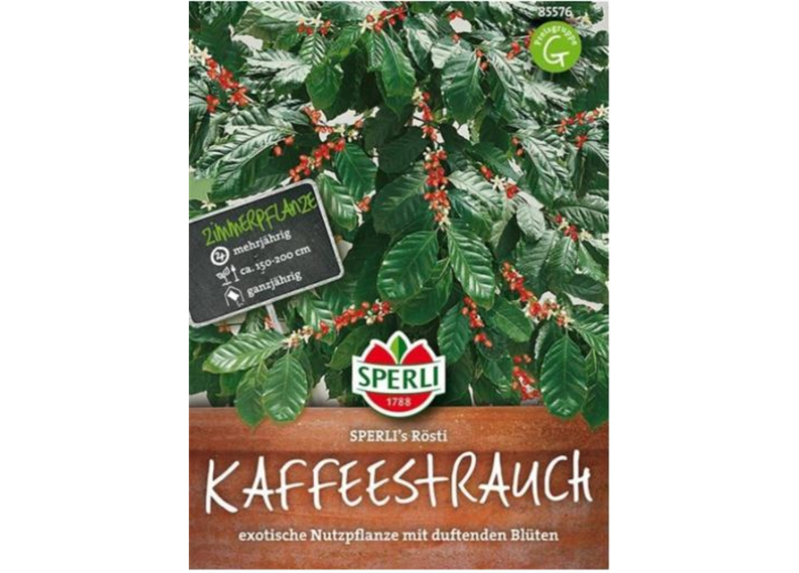 Kaffeebaum Rösti