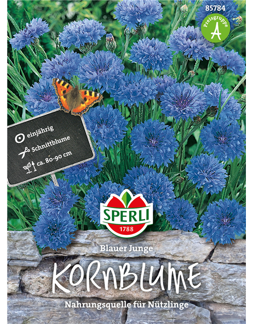 Kornblumen