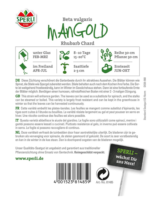 Mangold