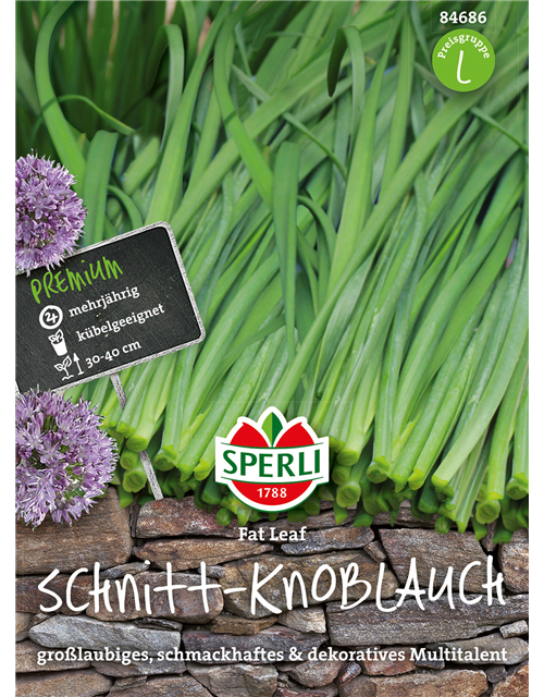 Schnitt - Knoblauch