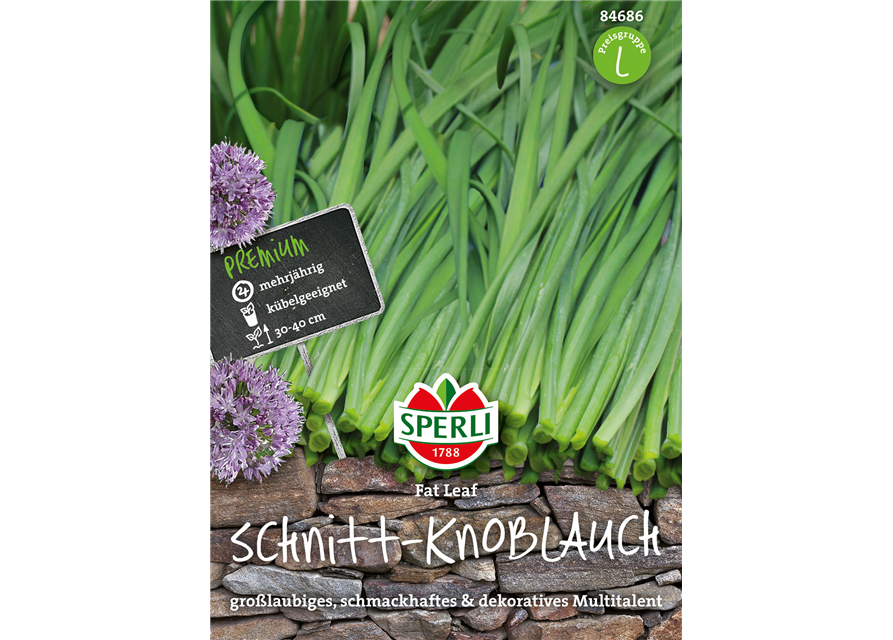 Schnitt - Knoblauch