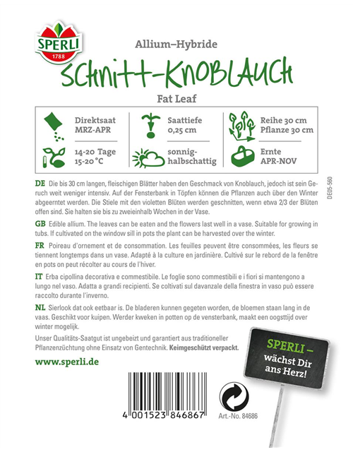 Schnitt - Knoblauch