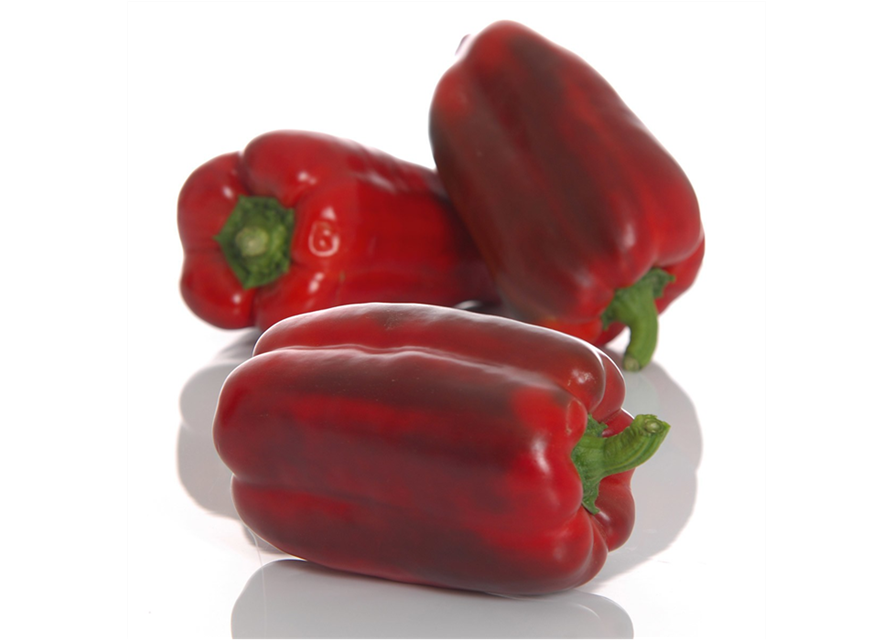 Jumbo Paprika rot Volmary 