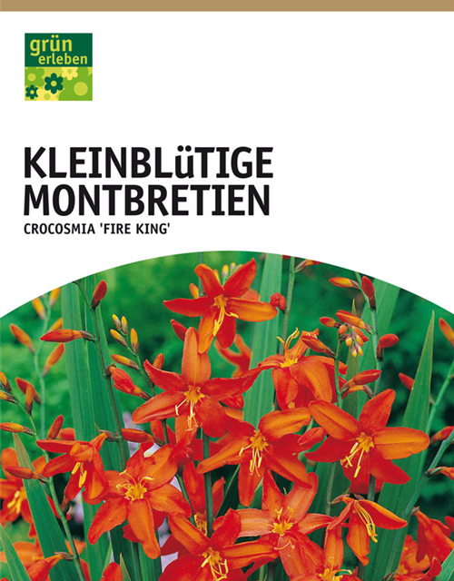 Montbretien Fire King 