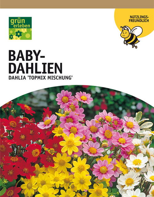 Dahlien Bienenfreundliche Topmix Mischung