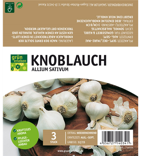 Knoblauch