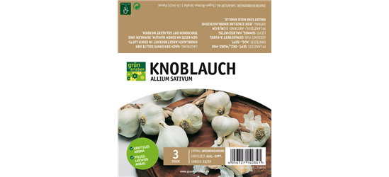 Knoblauch