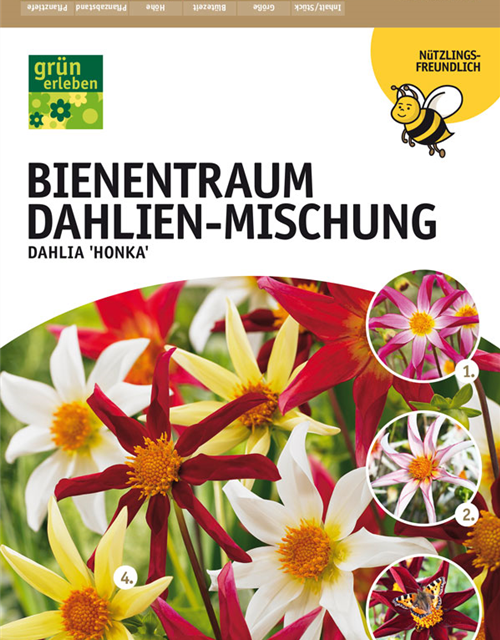 Dahl. Bienentraum Mischung x4