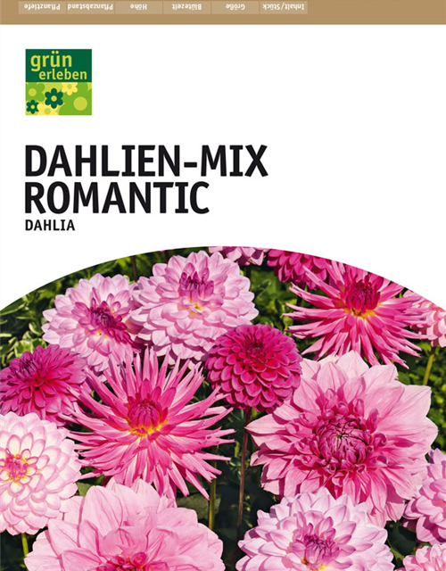 Dahlien Mischung Romantic x5