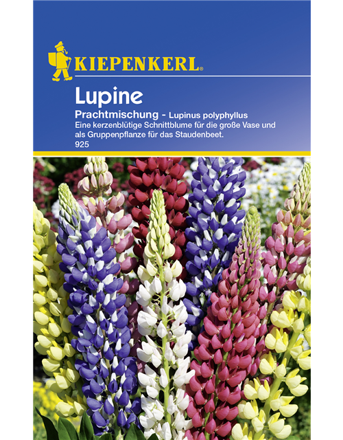 Lupinus Polyphyllus Mix Saatgut