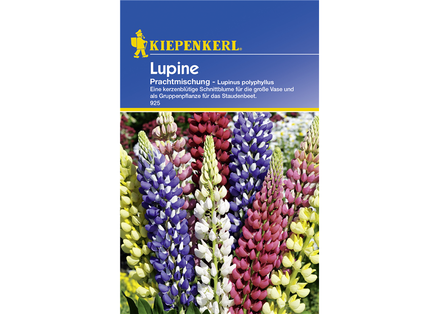 Lupinus Polyphyllus Mix Saatgut