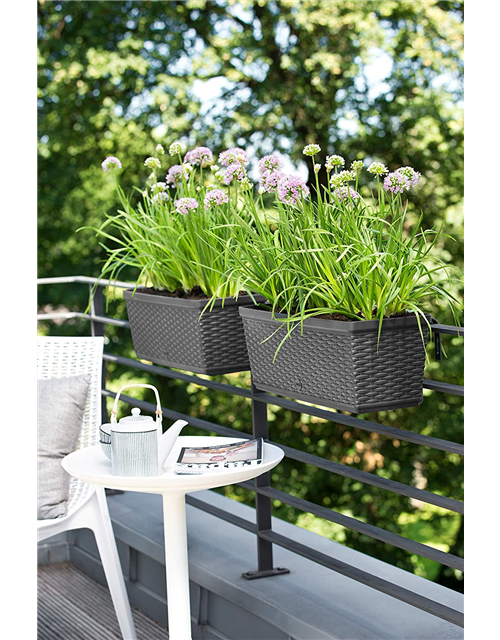 Emsa Blumenkasten für den Balkon 75cm