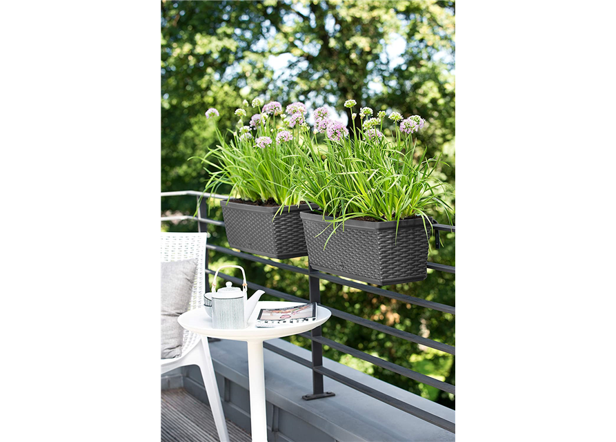 Emsa Blumenkasten für den Balkon 75cm