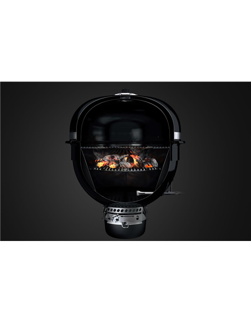 Weber Summit Charcoal Holzkohle Grill