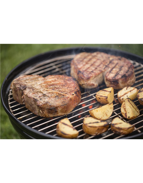 WEBER GRILL SMOKEY JOE