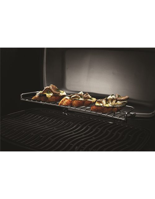 Napoleon Phantom Gasgrill Travel PRO 285X 