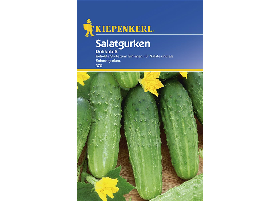 Kiepenkerl Salatgurke Delikateß