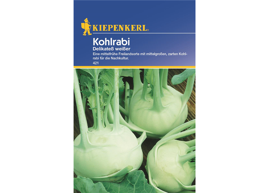 Kohlrabi Delikateß Weiß