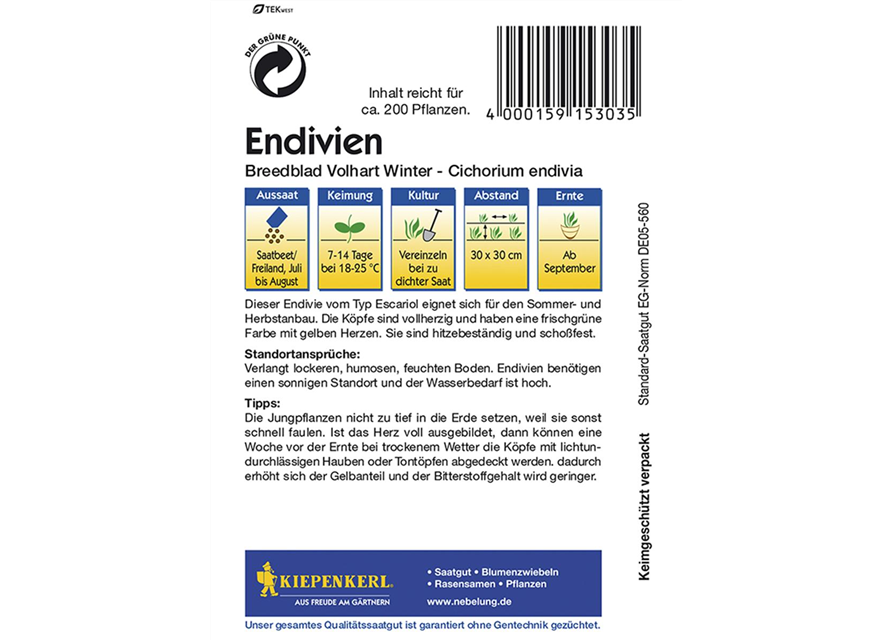 Endivien Breedblad