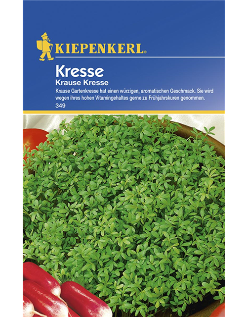 Kresse Krausen 