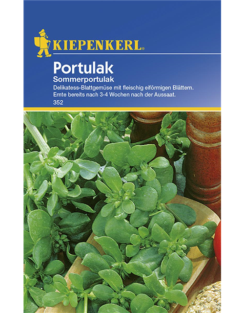 Kiepenkerl Portulak Sommerportulak