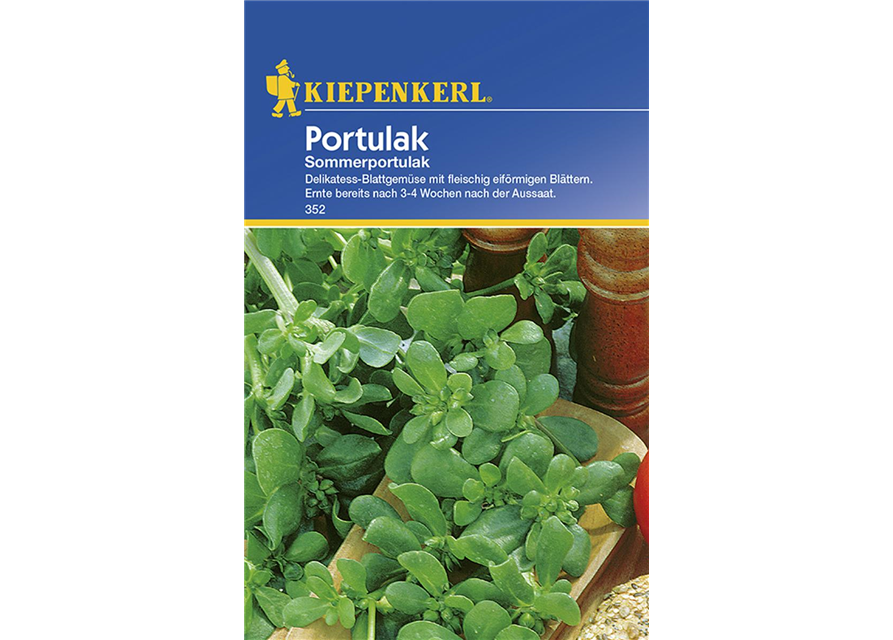 Kiepenkerl Portulak Sommerportulak