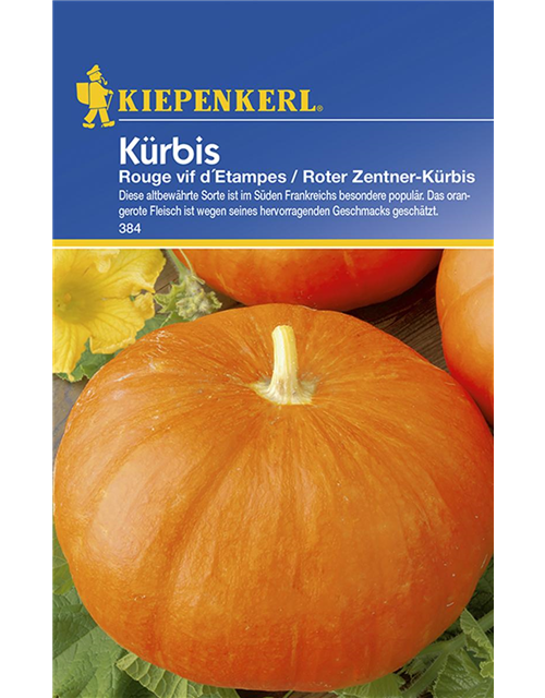 Kürbis Rouge V.D'Etampesn