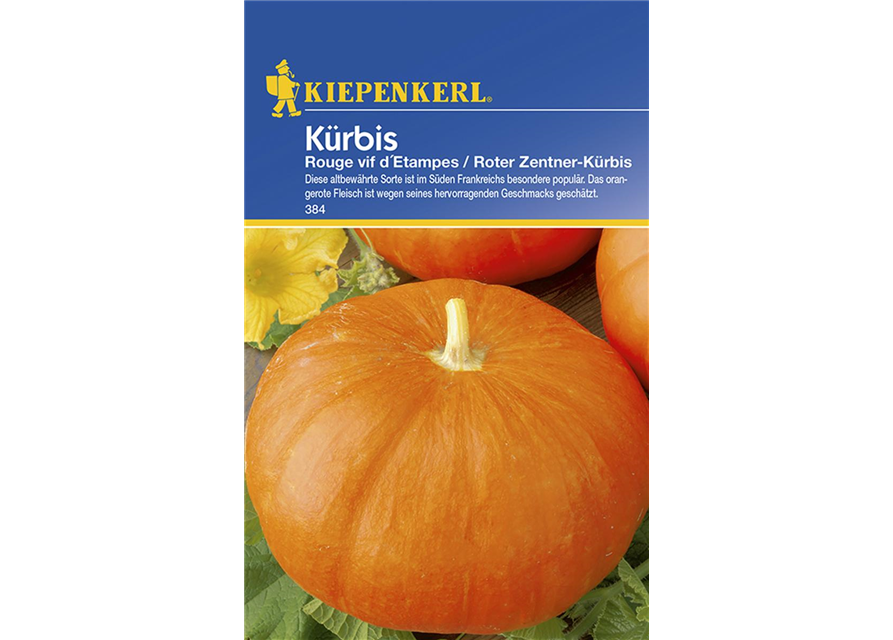 Kürbis Rouge V.D'Etampesn