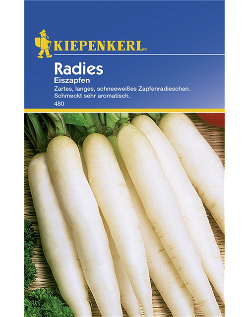 Radies Eiszapfenn