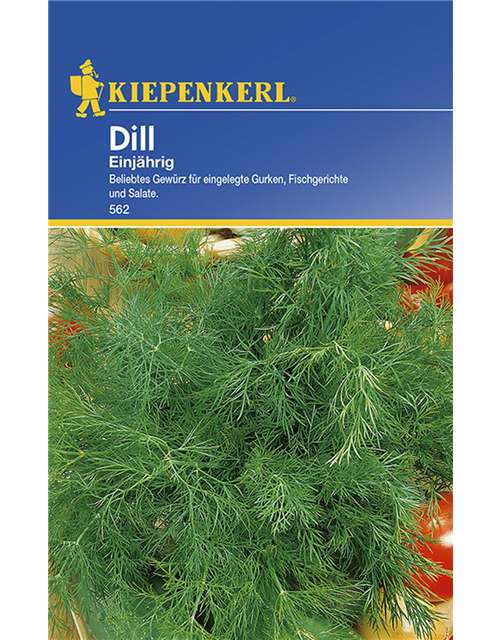 Kiepenkerl Dill Dill einjährig