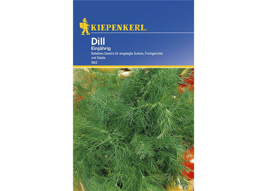 Kiepenkerl Dill Dill einjährig