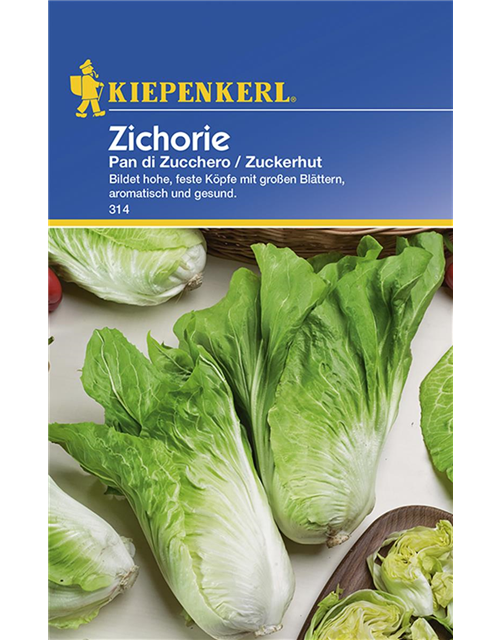 Zichoriensalat Pan di Zucheron