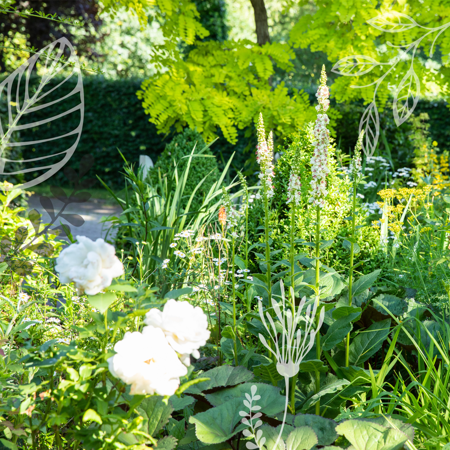 Gartenpflanzen dürfen in keinem Garten fehlen