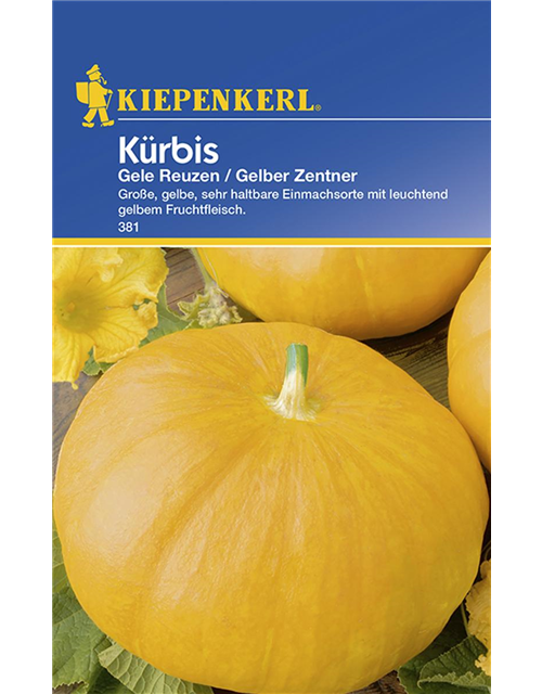 Kürbis Gele Reuzen