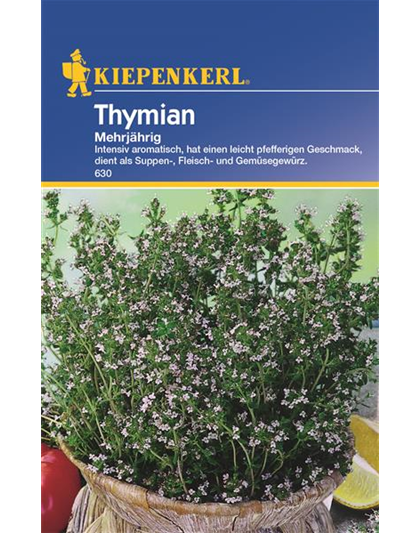 Thymian Mehrjährig