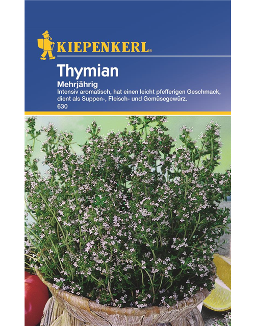 Thymian Mehrjährig