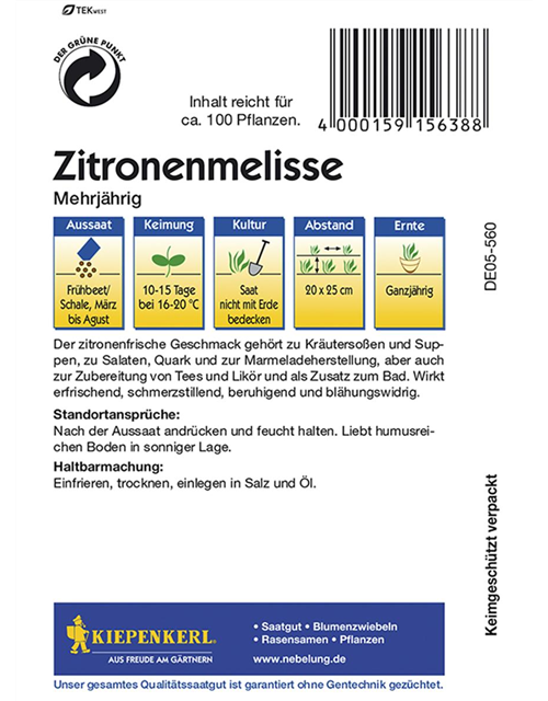 Zitronenmelisse Mehrjährig